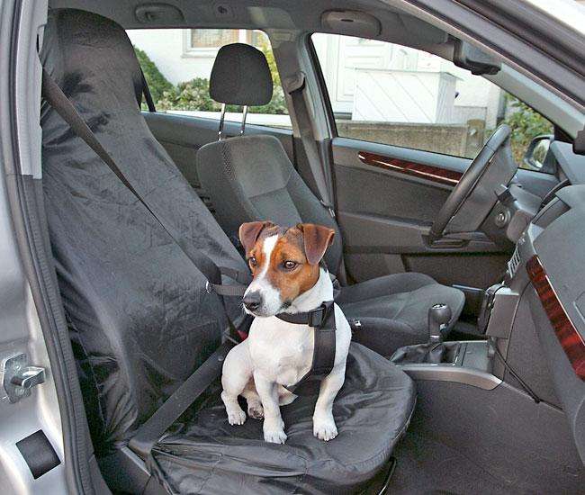 Karlie front seat cover cover