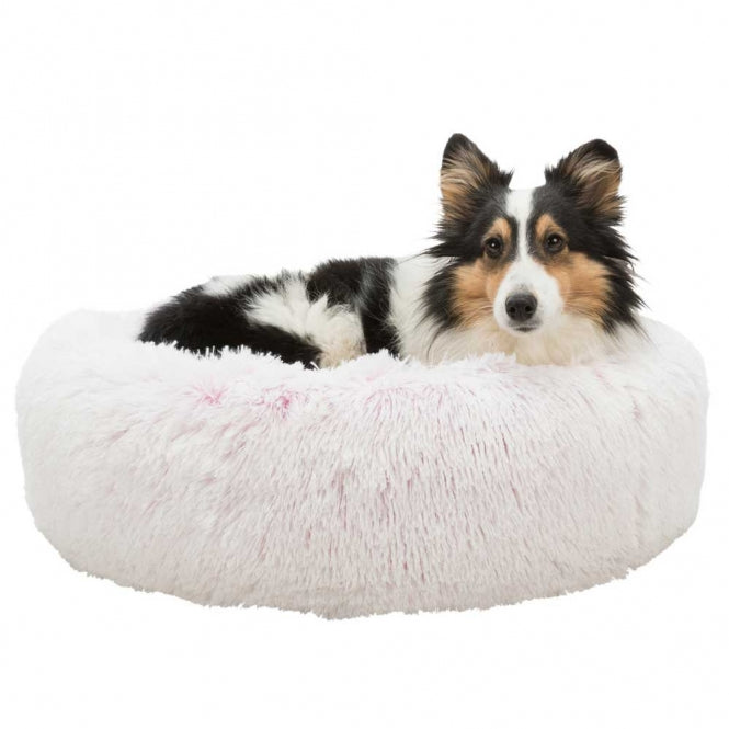 Trixie Bett Harvey - round