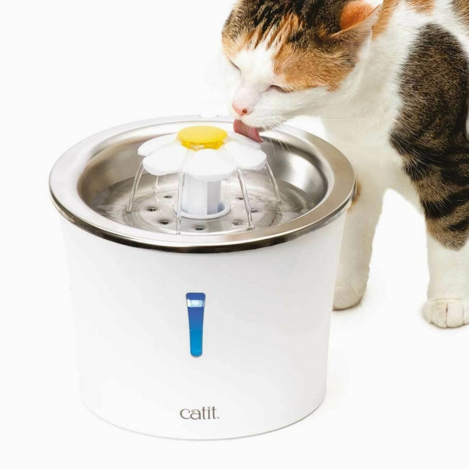 Catit flower drinking fountain with stainless steel insert