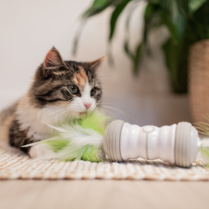 EBI Cat Toy Double Spinner - white/green
