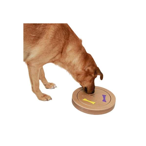 Kerbl Thinking & Learning Game Duo