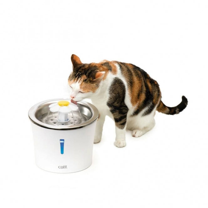 Catit flower drinking fountain with stainless steel insert