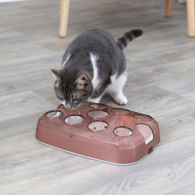 Trixie Cat Activity Soccer