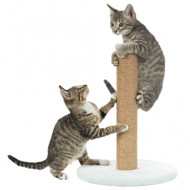 Trixie Junior Cat Tree