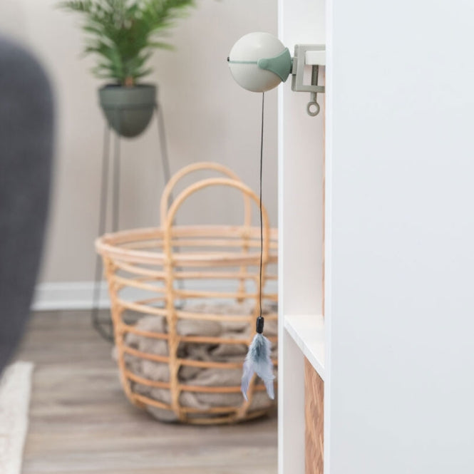 Trixie Catch It Cat Toy