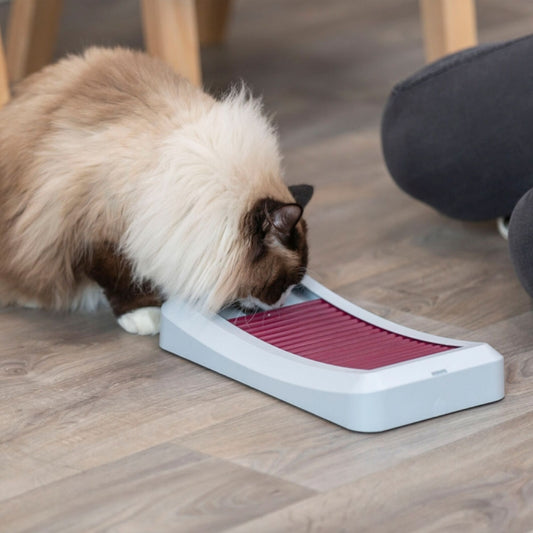 Trixie Cat Activity Rod Board