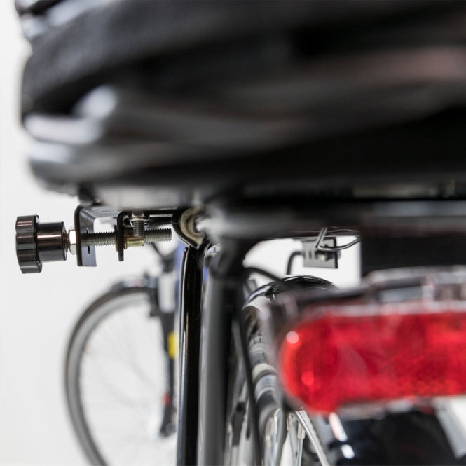 Trixie wicker bicycle basket for luggage rack