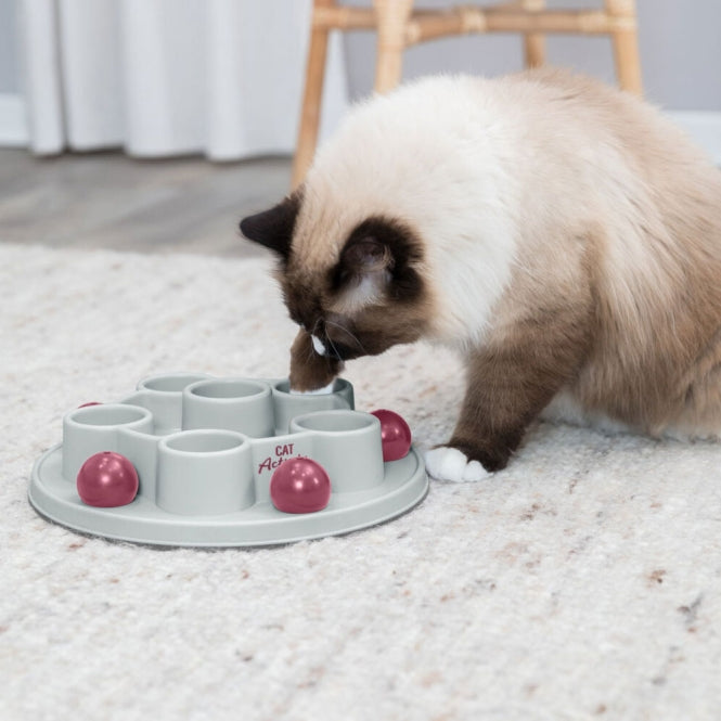 Trixie Cat Activity Pentagon
