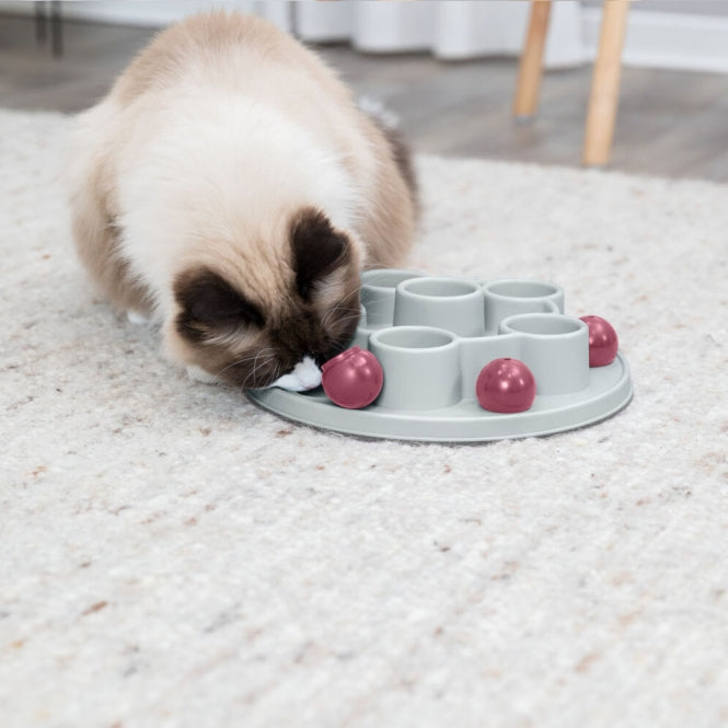 Trixie Cat Activity Pentagon