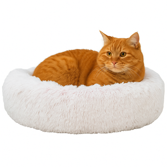 Trixie Bett Harvey - round